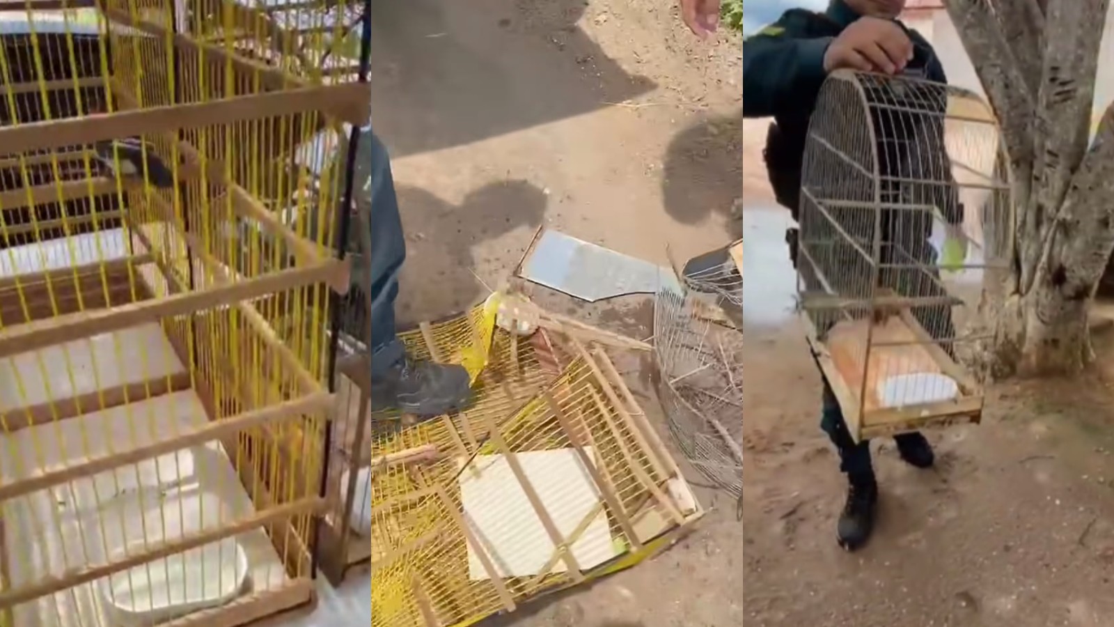 foto Not&iacute;cia Parnaíba