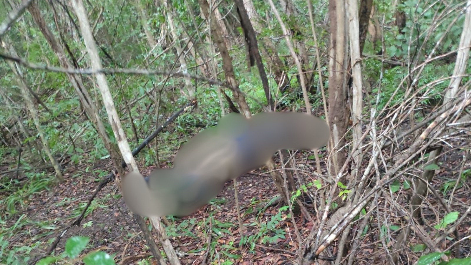 foto Not&iacute;cia Parnaíba