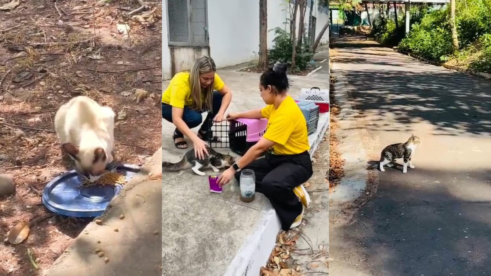 foto Not&iacute;cia Parnaíba
